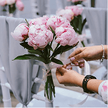 Event Planners